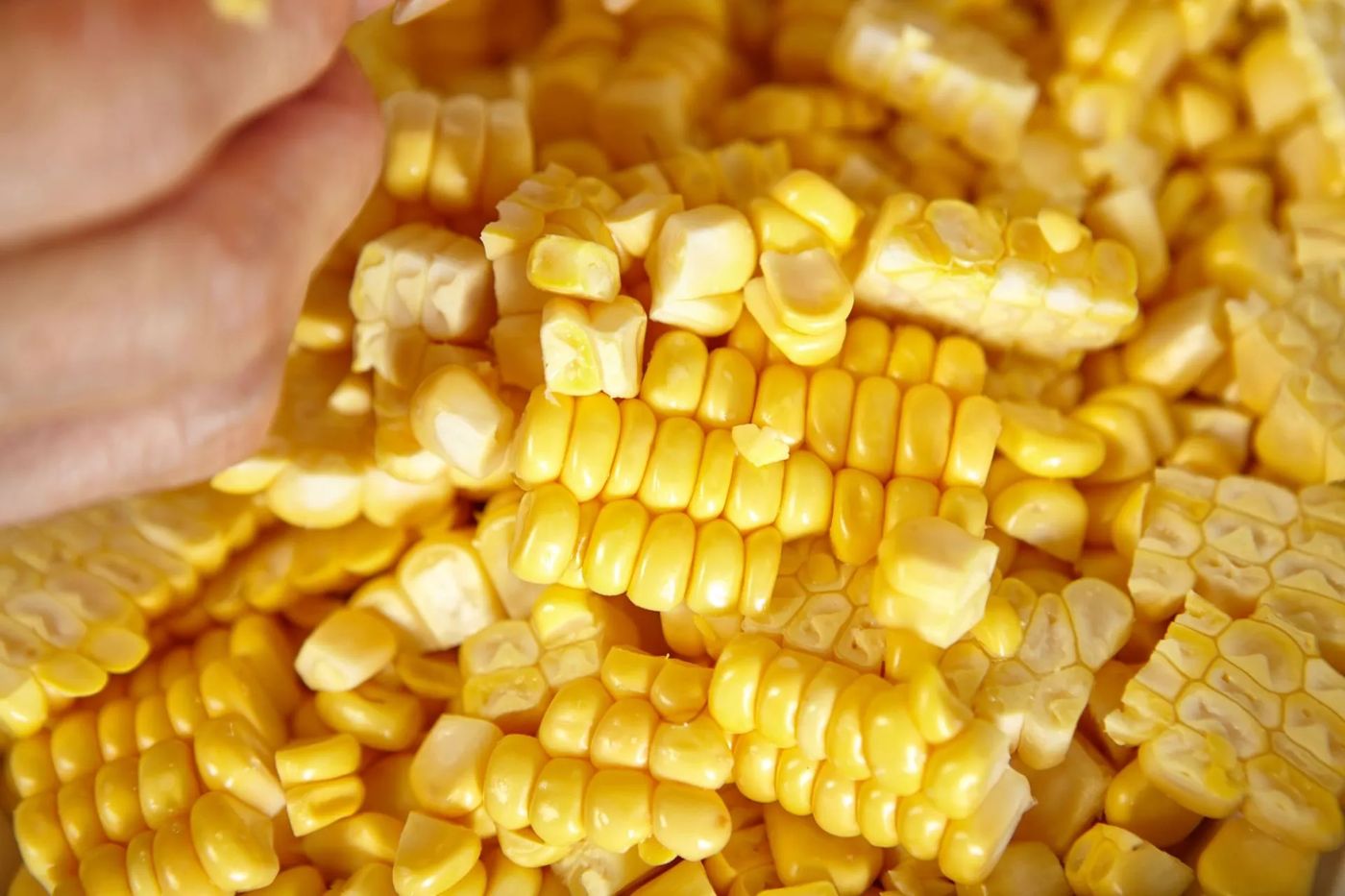 Maíz sin gluten